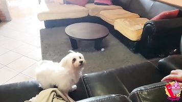 Football mom (part 1)