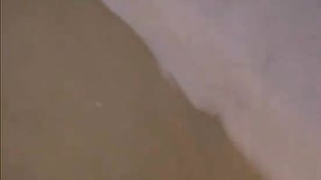 Amateur pornstar wannabe sucking dick